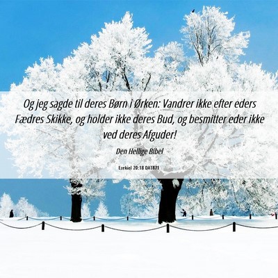 Picture 06 - Ezekiel 20:18 DA1871 - Og jeg sagde til deres Børn i Ørken: Vandrer - Bible Verse Picture