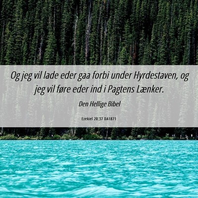 Picture 06 - Ezekiel 20:37 DA1871 - Og jeg vil lade eder gaa forbi under Hyrdestaven, - Bible Verse Picture