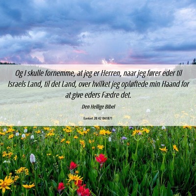 Picture 06 - Ezekiel 20:42 DA1871 - Og I skulle fornemme, at jeg er Herren, naar jeg - Bible Verse Picture