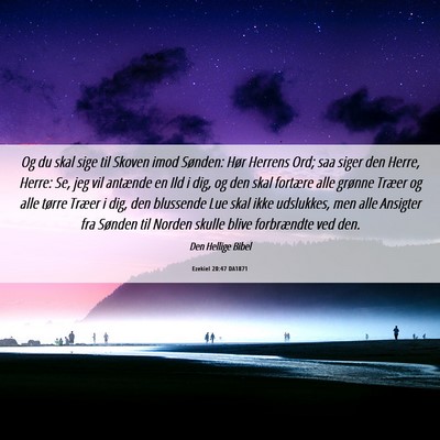 Picture 06 - Ezekiel 20:47 DA1871 - Og du skal sige til Skoven imod Sønden: Hør - Bible Verse Picture