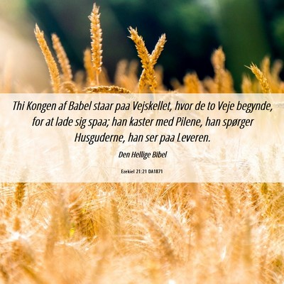 Picture 06 - Ezekiel 21:21 DA1871 - Thi Kongen af Babel staar paa Vejskellet, hvor de - Bible Verse Picture