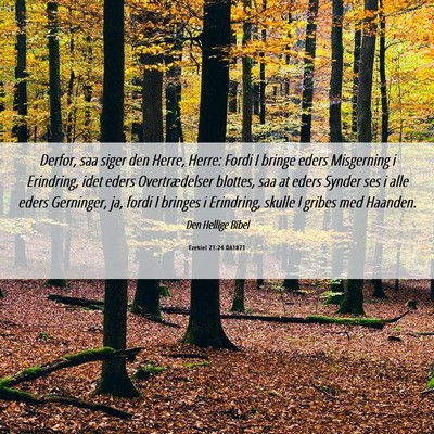Picture 06 - Ezekiel 21:24 DA1871 - Derfor, saa siger den Herre, Herre: Fordi I - Bible Verse Picture