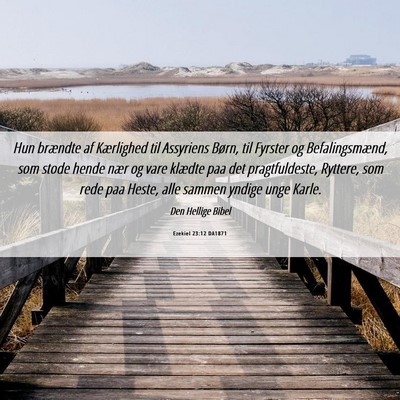 Picture 06 - Ezekiel 23:12 DA1871 - Hun brændte af Kærlighed til Assyriens Børn, - Bible Verse Picture