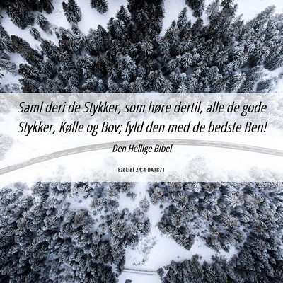 Picture 06 - Ezekiel 24:4 DA1871 - Saml deri de Stykker, som høre dertil, alle de - Bible Verse Picture