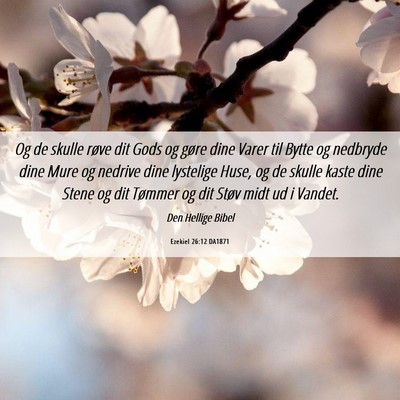 Picture 06 - Ezekiel 26:12 DA1871 - Og de skulle røve dit Gods og gøre dine Varer - Bible Verse Picture