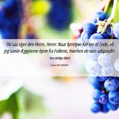 Picture 06 - Ezekiel 29:13 DA1871 - Thi saa siger den Herre, Herre: Naar fyrretyve - Bible Verse Picture