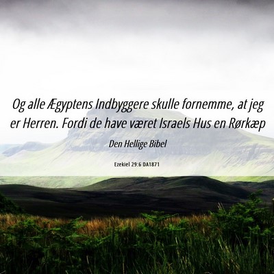 Picture 06 - Ezekiel 29:6 DA1871 - Og alle Ægyptens Indbyggere skulle fornemme, at - Bible Verse Picture