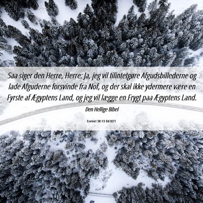 Picture 06 - Ezekiel 30:13 DA1871 - Saa siger den Herre, Herre: Ja, jeg vil - Bible Verse Picture
