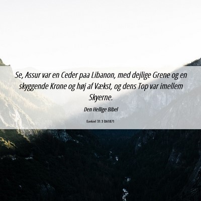 Picture 06 - Ezekiel 31:3 DA1871 - Se, Assur var en Ceder paa Libanon, med dejlige - Bible Verse Picture