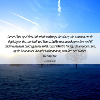 Picture 06 - Ezekiel 32:24 DA1871 - Der er Elam og al dets Hob trindt omkring i dets - Bible Verse Picture