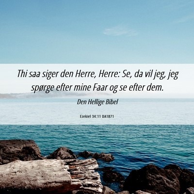 Picture 06 - Ezekiel 34:11 DA1871 - Thi saa siger den Herre, Herre: Se, da vil jeg, - Bible Verse Picture