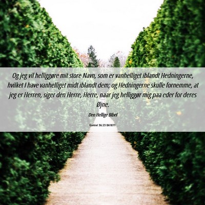 Picture 06 - Ezekiel 36:23 DA1871 - Og jeg vil helliggøre mit store Navn, som er - Bible Verse Picture