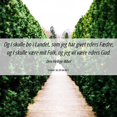 Picture 06 - Ezekiel 36:28 DA1871 - Og I skulle bo i Landet, som jeg har givet eders - Bible Verse Picture