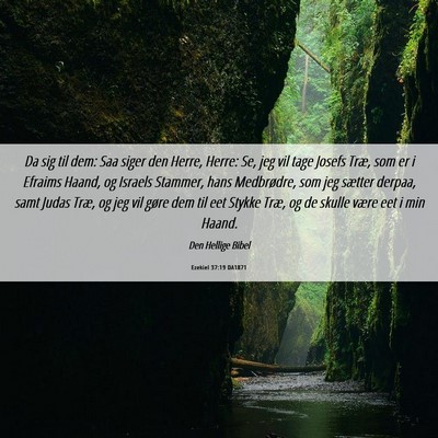 Picture 06 - Ezekiel 37:19 DA1871 - Da sig til dem: Saa siger den Herre, Herre: Se, - Bible Verse Picture