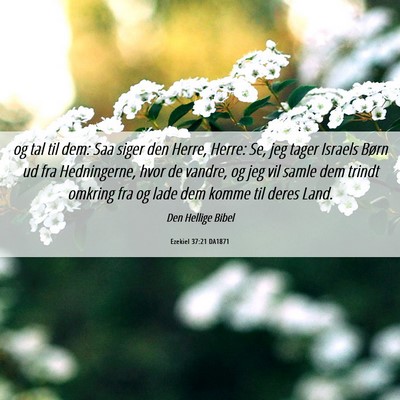 Picture 06 - Ezekiel 37:21 DA1871 - og tal til dem: Saa siger den Herre, Herre: Se, - Bible Verse Picture