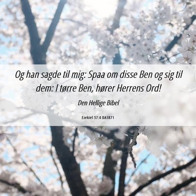 Picture 06 - Ezekiel 37:4 DA1871 - Og han sagde til mig: Spaa om disse Ben og sig - Bible Verse Picture