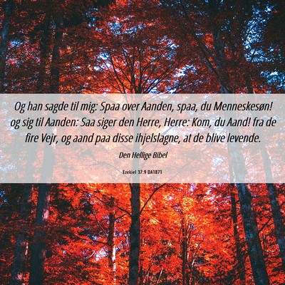 Picture 06 - Ezekiel 37:9 DA1871 - Og han sagde til mig: Spaa over Aanden, spaa, du - Bible Verse Picture