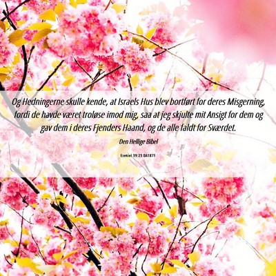Picture 06 - Ezekiel 39:23 DA1871 - Og Hedningerne skulle kende, at Israels Hus blev - Bible Verse Picture