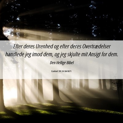 Picture 06 - Ezekiel 39:24 DA1871 - Efter deres Urenhed og efter deres Overtrædelser - Bible Verse Picture