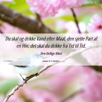 Picture 06 - Ezekiel 4:11 DA1871 - Du skal og drikke Vand efter Maal, den sjette - Bible Verse Picture