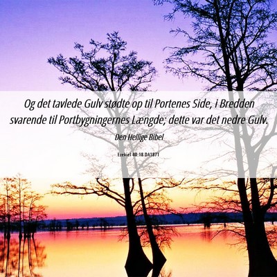 Picture 06 - Ezekiel 40:18 DA1871 - Og det tavlede Gulv stødte op til Portenes Side, - Bible Verse Picture