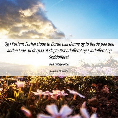 Picture 06 - Ezekiel 40:39 DA1871 - Og i Portens Forhal stode to Borde paa denne og - Bible Verse Picture