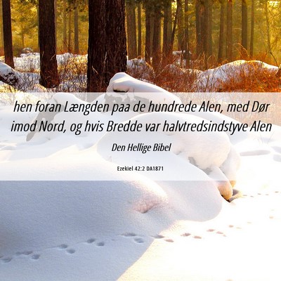 Picture 06 - Ezekiel 42:2 DA1871 - hen foran Længden paa de hundrede Alen, med Dør - Bible Verse Picture