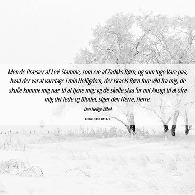 Picture 06 - Ezekiel 44:15 DA1871 - Men de Præster af Levi Stamme, som ere af Zadoks - Bible Verse Picture