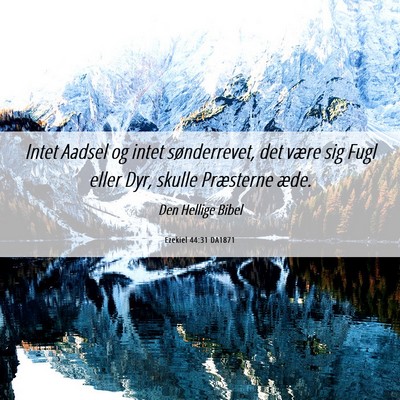 Picture 06 - Ezekiel 44:31 DA1871 - Intet Aadsel og intet sønderrevet, det være sig - Bible Verse Picture