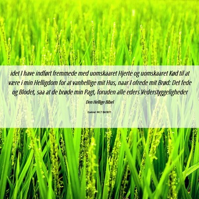 Picture 06 - Ezekiel 44:7 DA1871 - idet I have indført fremmede med uomskaaret - Bible Verse Picture