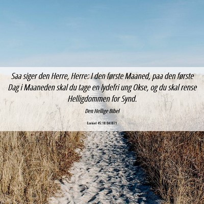 Picture 06 - Ezekiel 45:18 DA1871 - Saa siger den Herre, Herre: I den første Maaned, - Bible Verse Picture