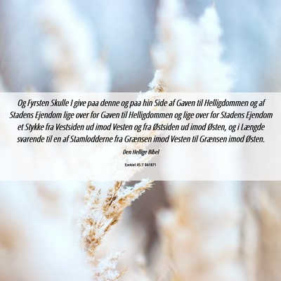 Picture 06 - Ezekiel 45:7 DA1871 - Og Fyrsten Skulle I give paa denne og paa hin - Bible Verse Picture