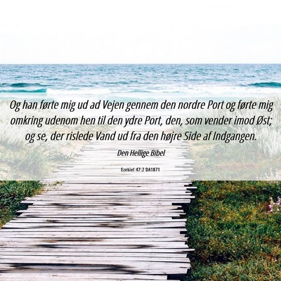 Picture 06 - Ezekiel 47:2 DA1871 - Og han førte mig ud ad Vejen gennem den nordre - Bible Verse Picture