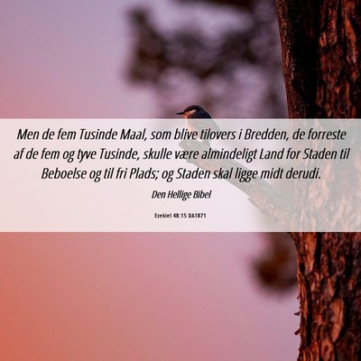 Picture 06 - Ezekiel 48:15 DA1871 - Men de fem Tusinde Maal, som blive tilovers i - Bible Verse Picture