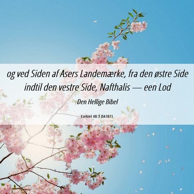 Picture 06 - Ezekiel 48:3 DA1871 - og ved Siden af Asers Landemærke, fra den østre - Bible Verse Picture