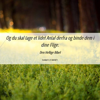Picture 06 - Ezekiel 5:3 DA1871 - Og du skal tage et lidet Antal derfra og binde - Bible Verse Picture