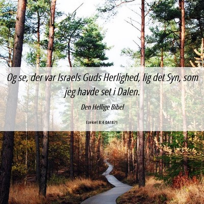 Picture 06 - Ezekiel 8:4 DA1871 - Og se, der var Israels Guds Herlighed, lig det - Bible Verse Picture