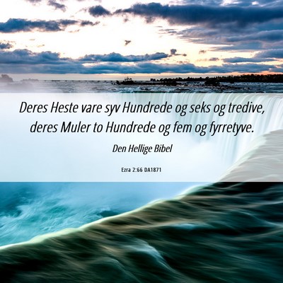 Picture 06 - Ezra 2:66 DA1871 - Deres Heste vare syv Hundrede og seks og tredive, - Bible Verse Picture