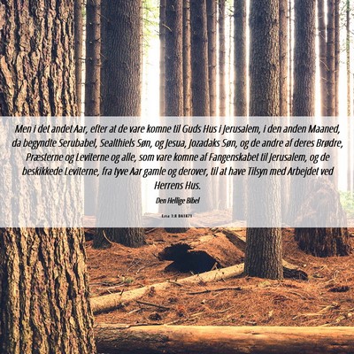 Picture 06 - Ezra 3:8 DA1871 - Men i det andet Aar, efter at de vare komne til - Bible Verse Picture