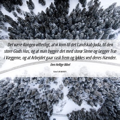 Picture 06 - Ezra 5:8 DA1871 - Det være Kongen vitterligt, at vi kom til det - Bible Verse Picture