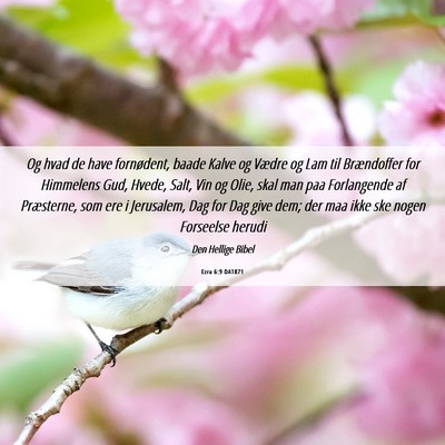 Picture 06 - Ezra 6:9 DA1871 - Og hvad de have fornødent, baade Kalve og Vædre - Bible Verse Picture