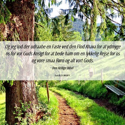 Picture 06 - Ezra 8:21 DA1871 - Og jeg lod der udraabe en Faste ved den Flod - Bible Verse Picture