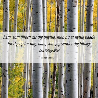 Picture 06 - Filemon 1:11 DA1871 - ham, som tilforn var dig unyttig, men nu er - Bible Verse Picture
