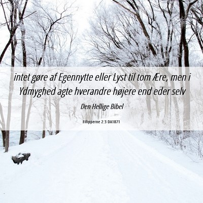 Picture 06 - Filipperne 2:3 DA1871 - intet gøre af Egennytte eller Lyst til tom Ære, - Bible Verse Picture