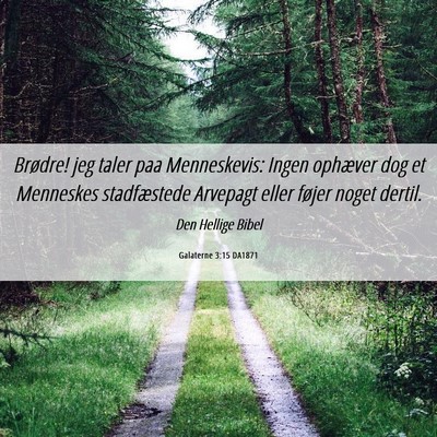 Picture 06 - Galaterne 3:15 DA1871 - Brødre! jeg taler paa Menneskevis: Ingen - Bible Verse Picture