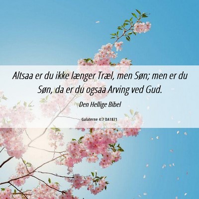 Picture 06 - Galaterne 4:7 DA1871 - Altsaa er du ikke længer Træl, men Søn; men er - Bible Verse Picture