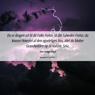 Picture 06 - Habakkuk 3:13 DA1871 - Du er dragen ud til dit Folks Frelse, til din - Bible Verse Picture