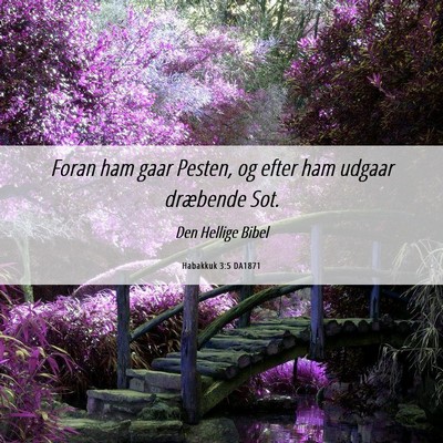 Picture 06 - Habakkuk 3:5 DA1871 - Foran ham gaar Pesten, og efter ham udgaar - Bible Verse Picture