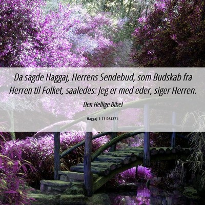 Picture 06 - Haggaj 1:13 DA1871 - Da sagde Haggaj, Herrens Sendebud, som Budskab - Bible Verse Picture