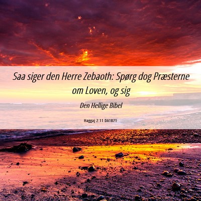 Picture 06 - Haggaj 2:11 DA1871 - Saa siger den Herre Zebaoth: Spørg dog - Bible Verse Picture